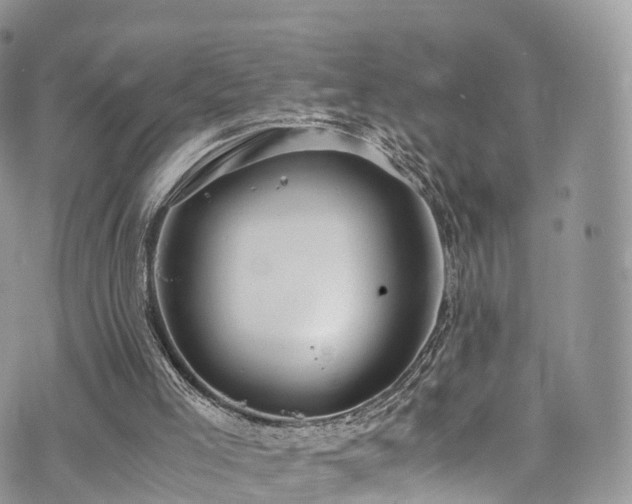 X0000073920005200608111234