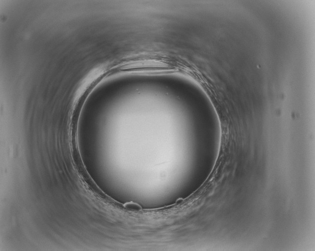 X0000073920006200608111234