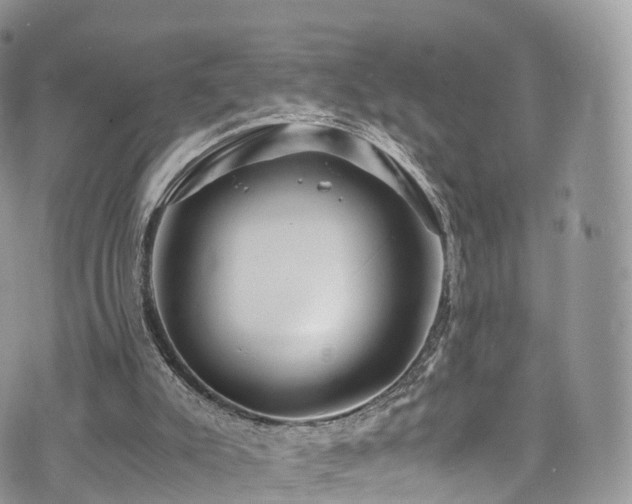 X0000073920007200608111234