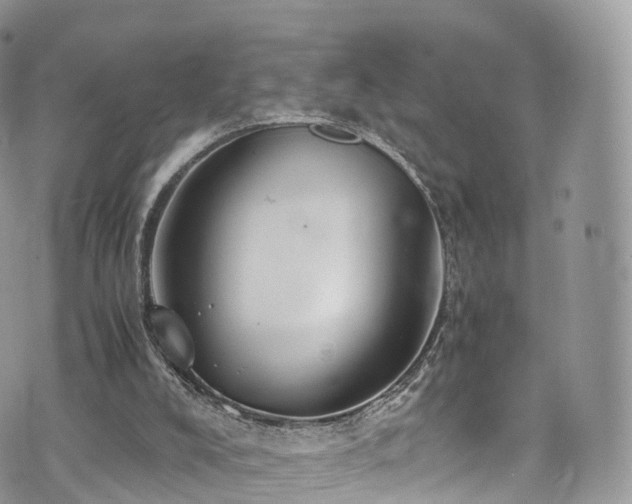 X0000073920008200608111234