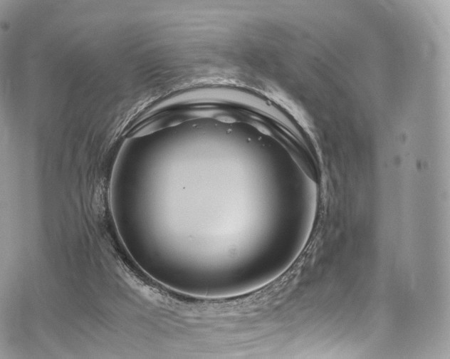 X0000073920009200608111234