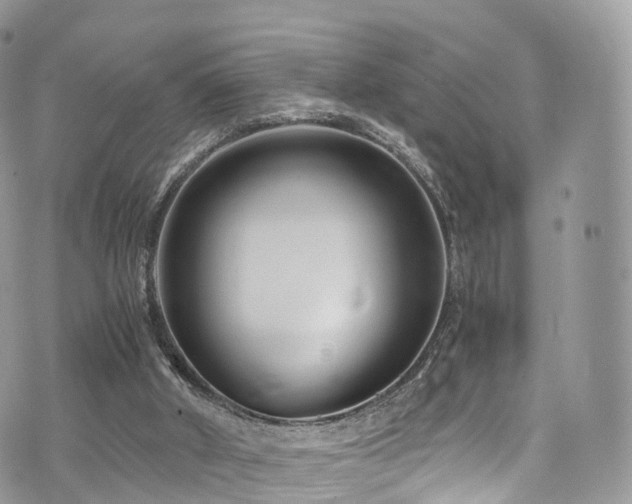 X0000073920010200608111234