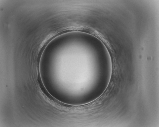 X0000073920011200608111234