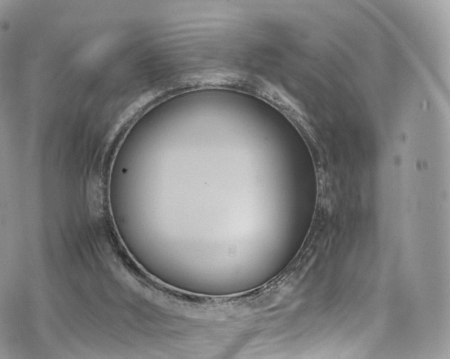 X0000073920012200608111234