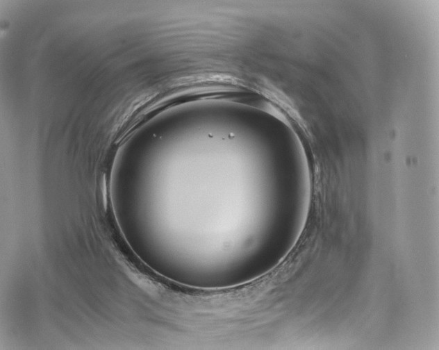 X0000073920013200608111234