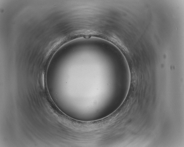 X0000073920014200608111234