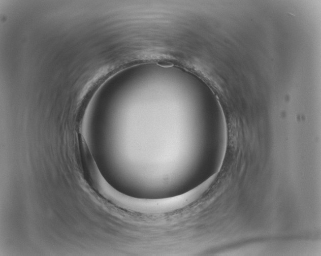 X0000073920015200608111234