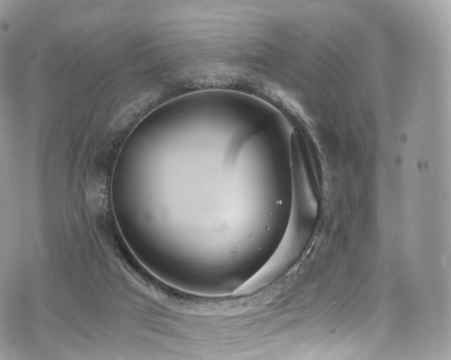 X0000073920017200608111234