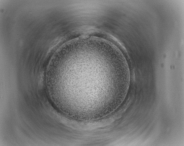 X0000073920018200608111234