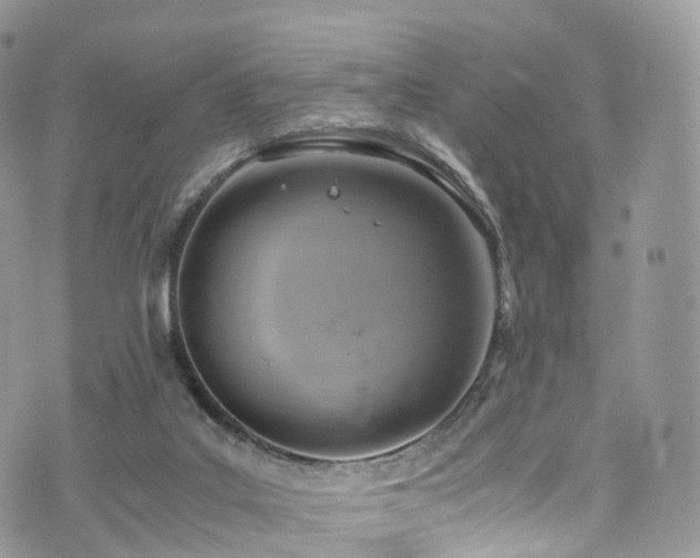 X0000073920019200608111234