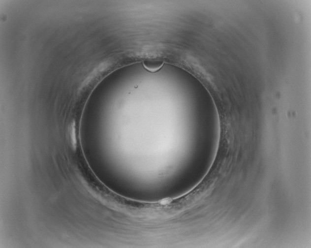 X0000073920020200608111234