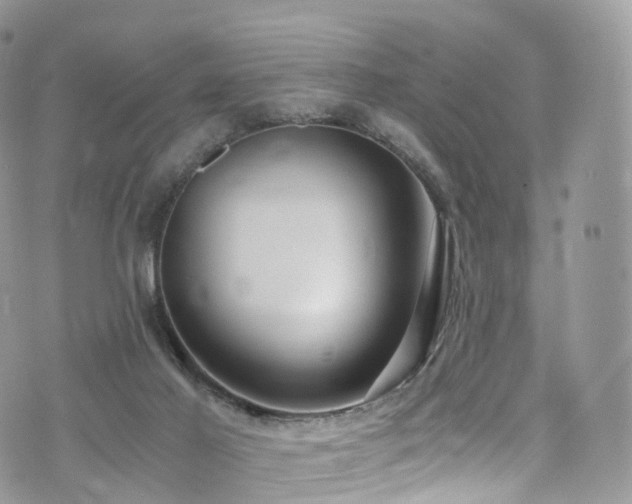 X0000073920021200608111234