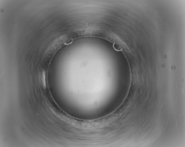 X0000073920022200608111234