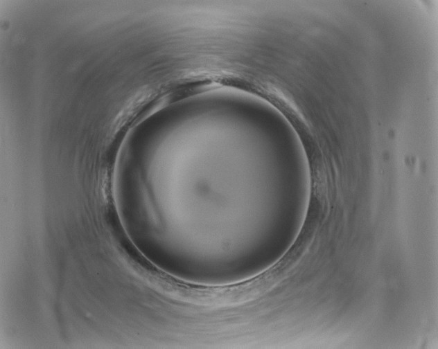 X0000073920023200608111234