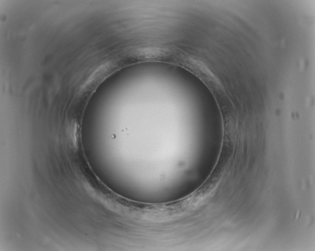 X0000073920024200608111234