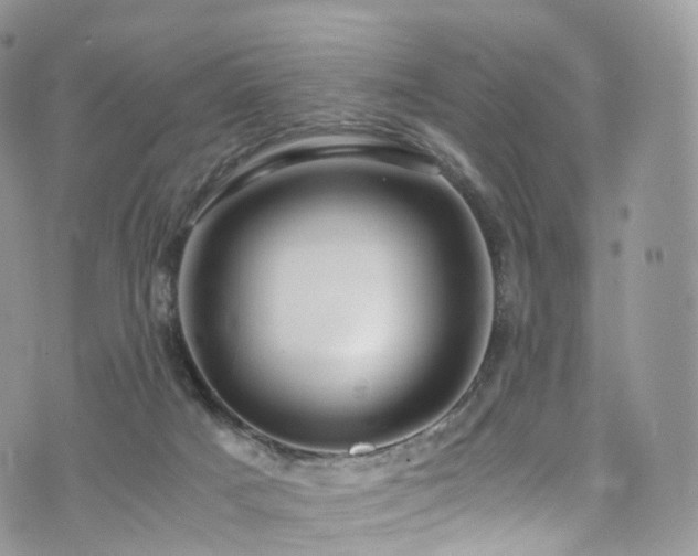 X0000073920025200608111234