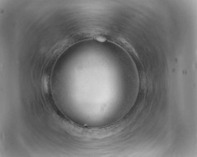 X0000073920026200608111234