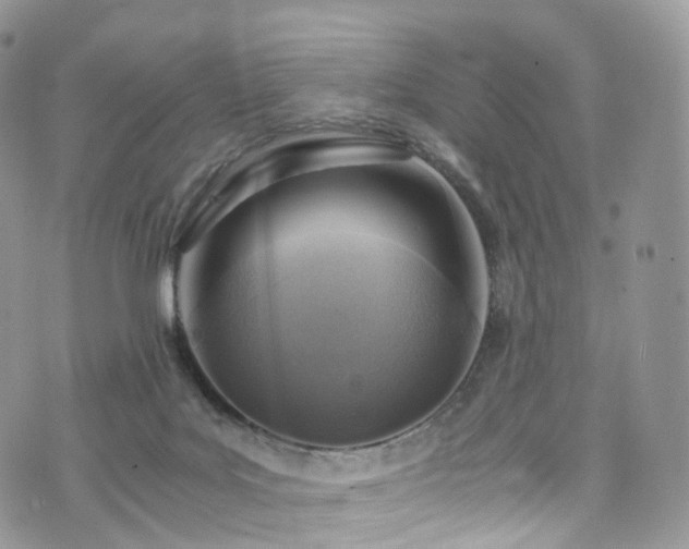 X0000073920027200608111234