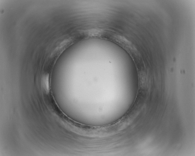 X0000073920028200608111234