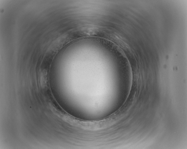 X0000073920030200608111234