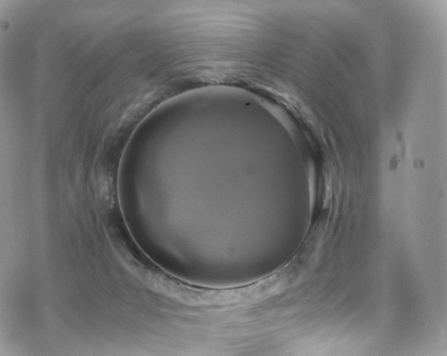 X0000073920031200608111234