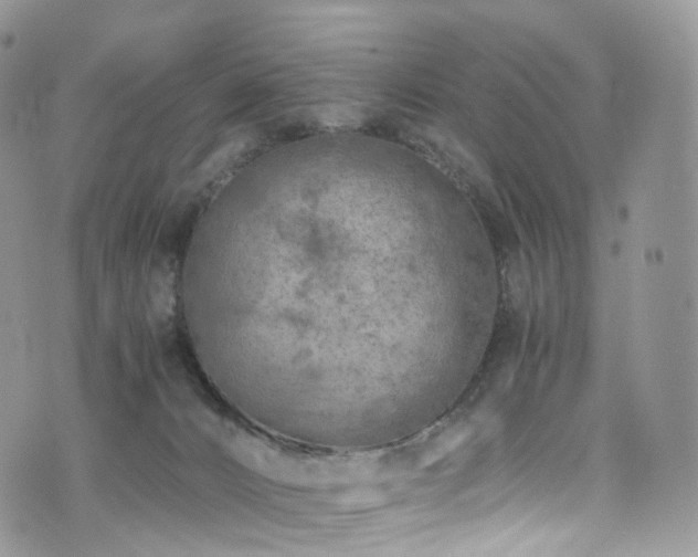 X0000073920032200608111234