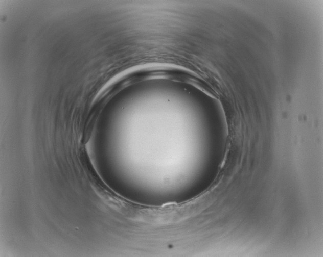 X0000073920033200608111234