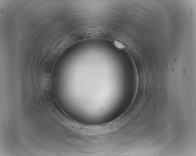 X0000073920034200608111234