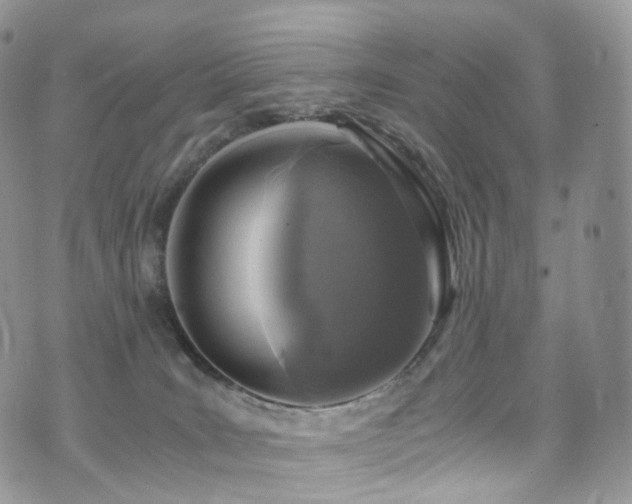 X0000073920035200608111234