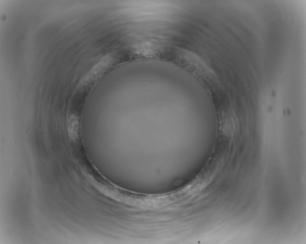 X0000073920036200608111234