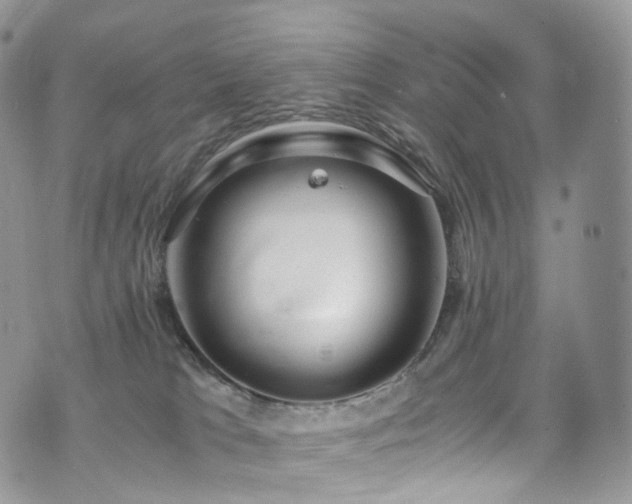 X0000073920037200608111233