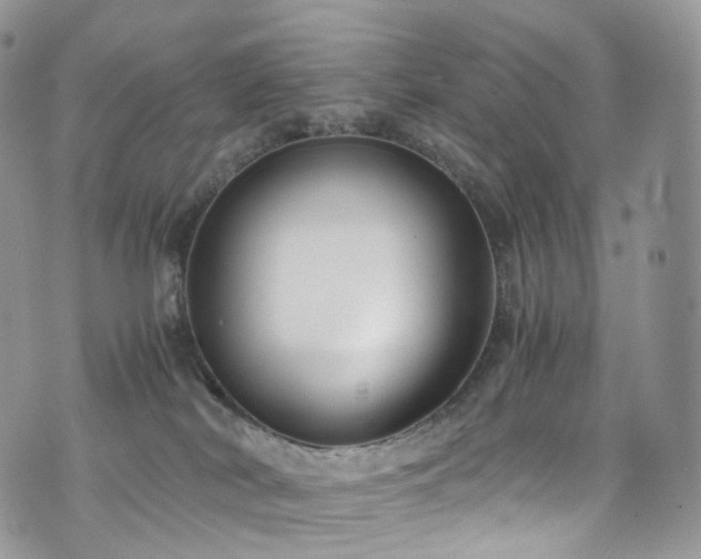 X0000073920038200608111233