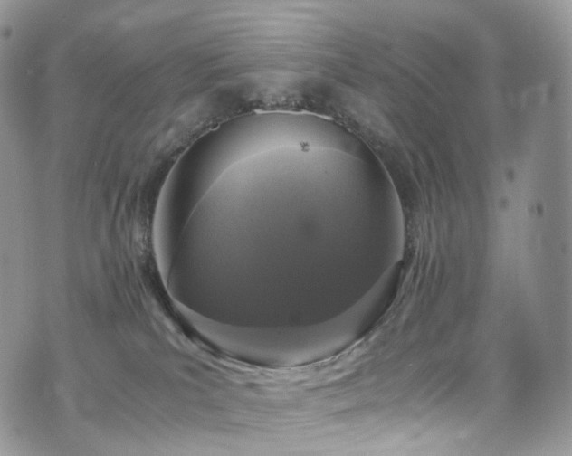 X0000073920039200608111233