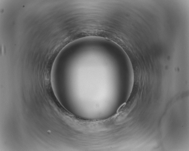 X0000073920040200608111233