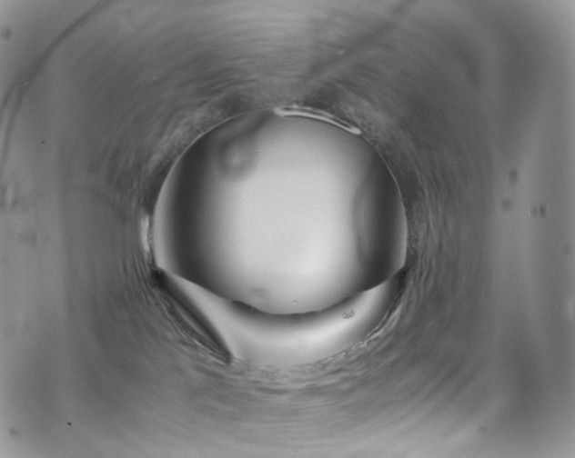 X0000073920041200608111233