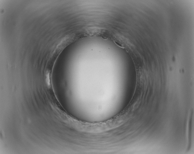 X0000073920042200608111233