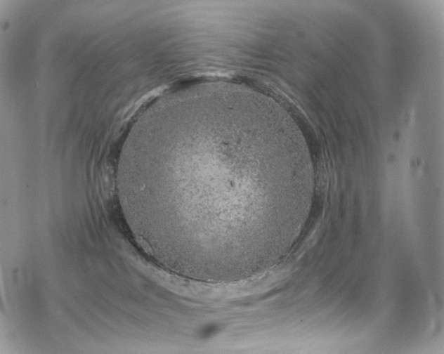 X0000073920043200608111233