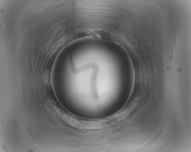 X0000073920044200608111233