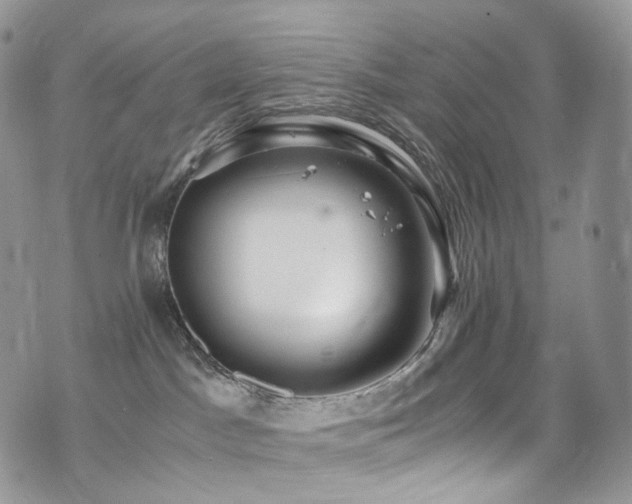 X0000073920045200608111233