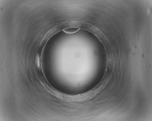 X0000073920046200608111233