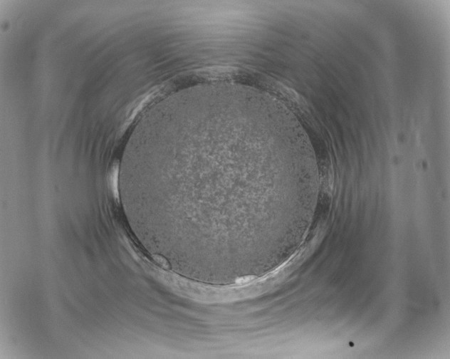 X0000073920047200608111233