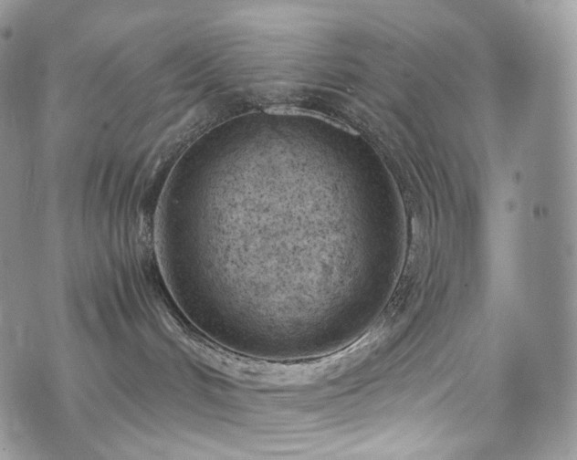 X0000073920048200608111233