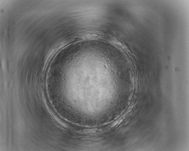 X0000073920049200608111233