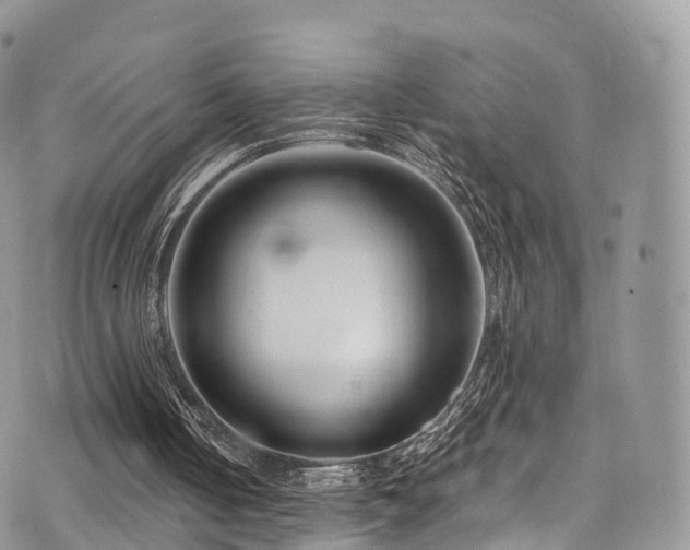 X0000073920050200608111233