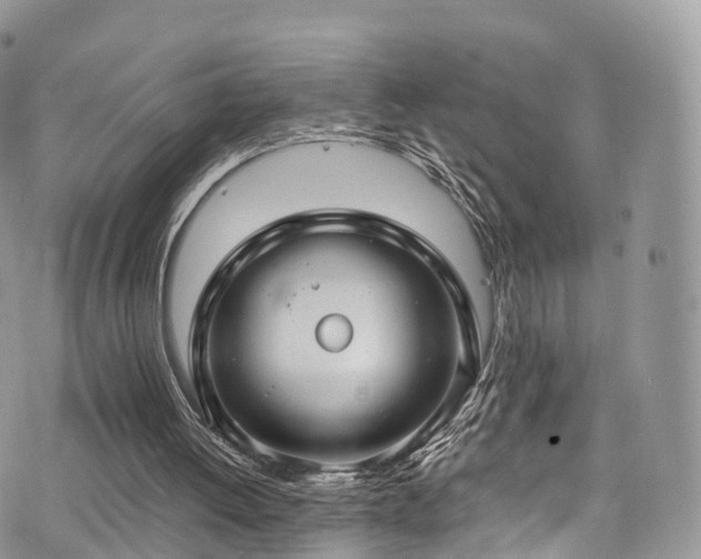 X0000073920052200608111233