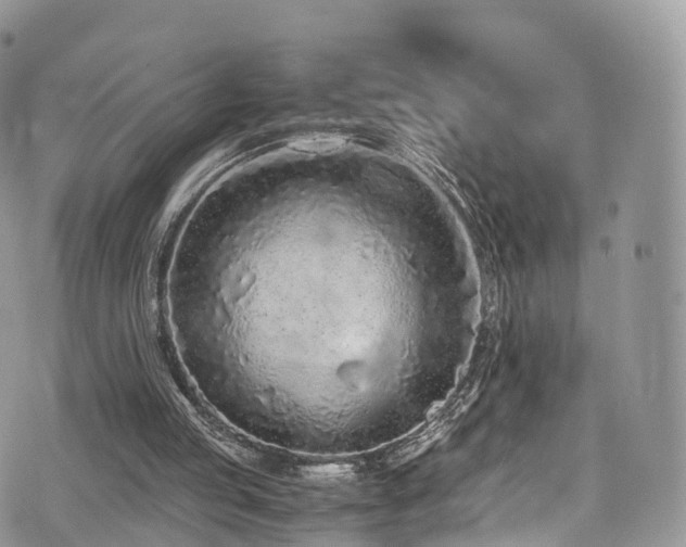 X0000073920053200608111233