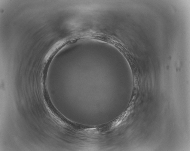 X0000073920054200608111233