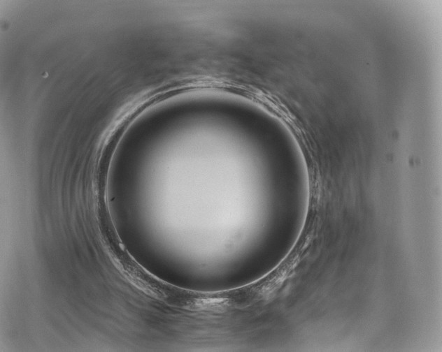 X0000073920055200608111233