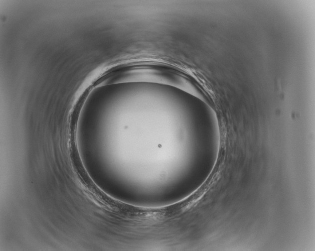 X0000073920056200608111233