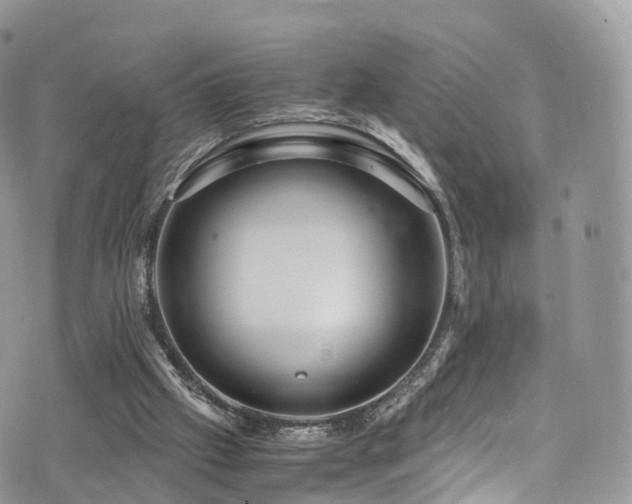 X0000073920057200608111233